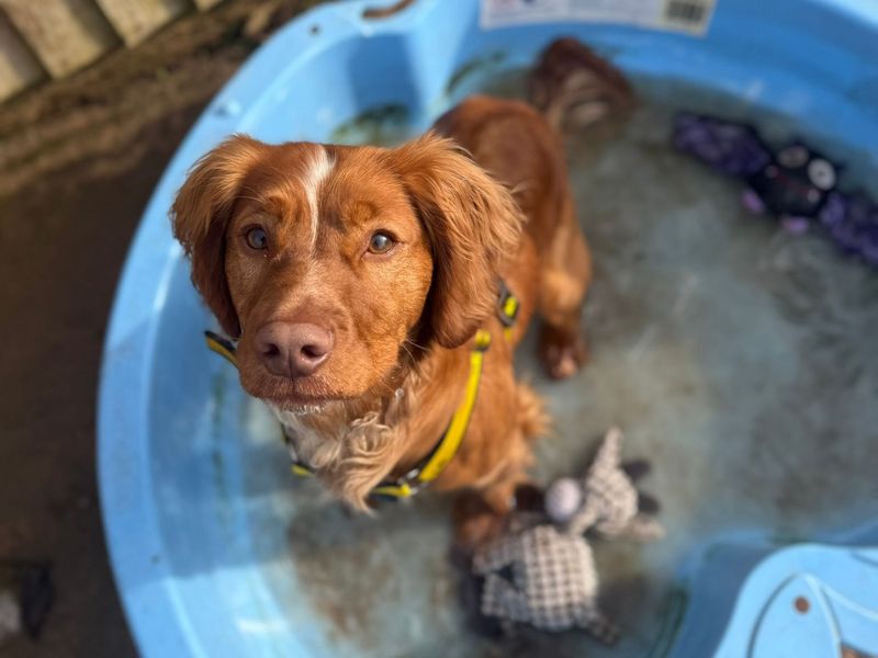 Arlo - Image 2 of 2