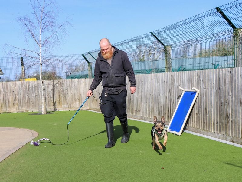 Indigo - Image 4 of 5