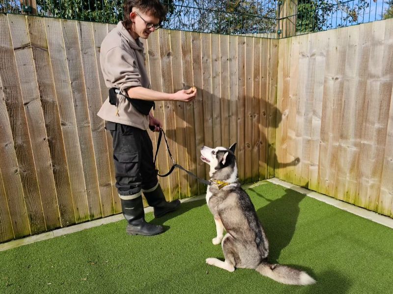 Freya - Image 3 of 4