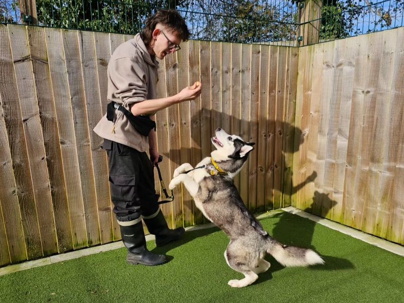 Freya - Image 2 of 4