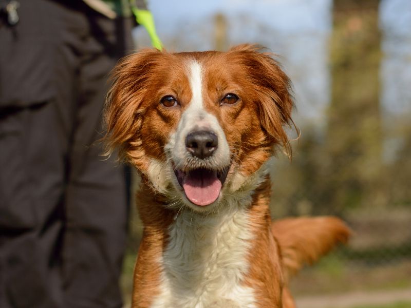 Imelda - Image 2 of 3