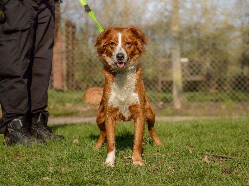 Imelda - Image 3 of 3