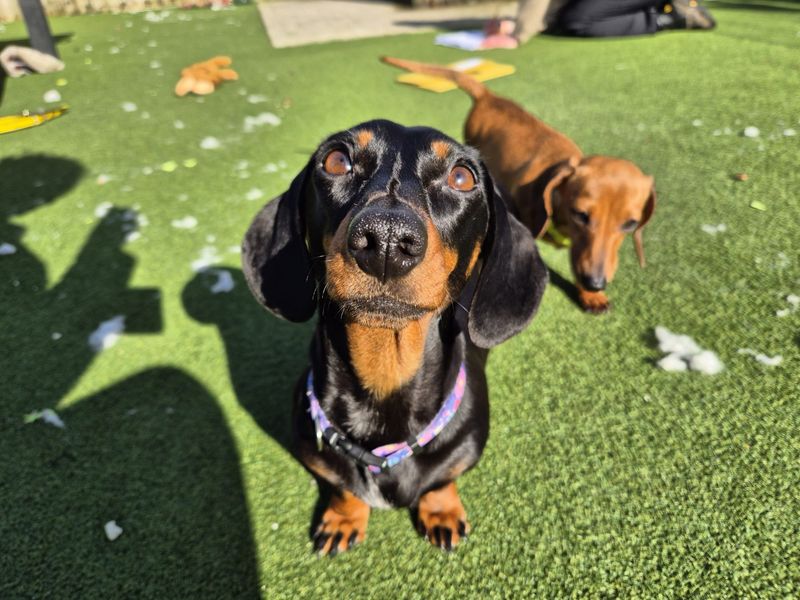 Shauna - Image 2 of 5