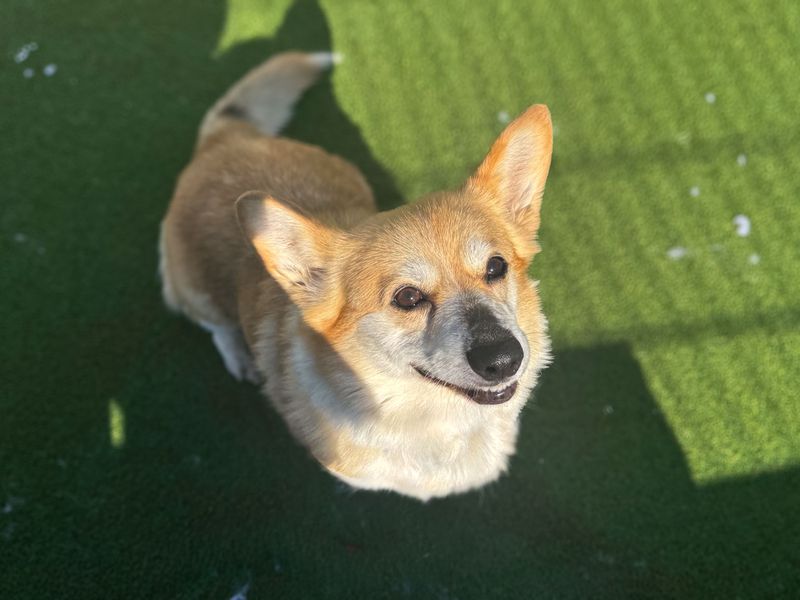 Quaver - Image 6 of 7