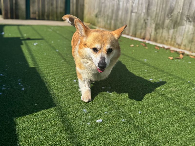 Quaver - Image 5 of 7