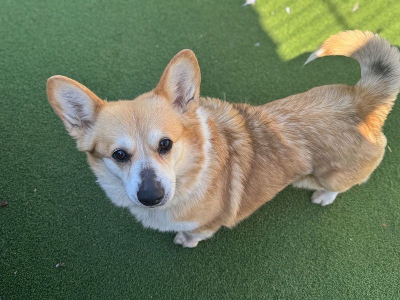 Quaver - Image 7 of 7