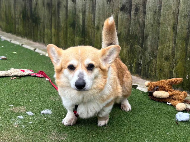 Quaver - Image 3 of 7