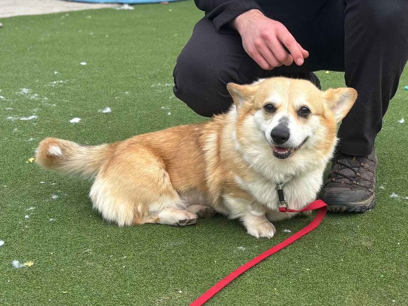 Quaver - Image 2 of 7