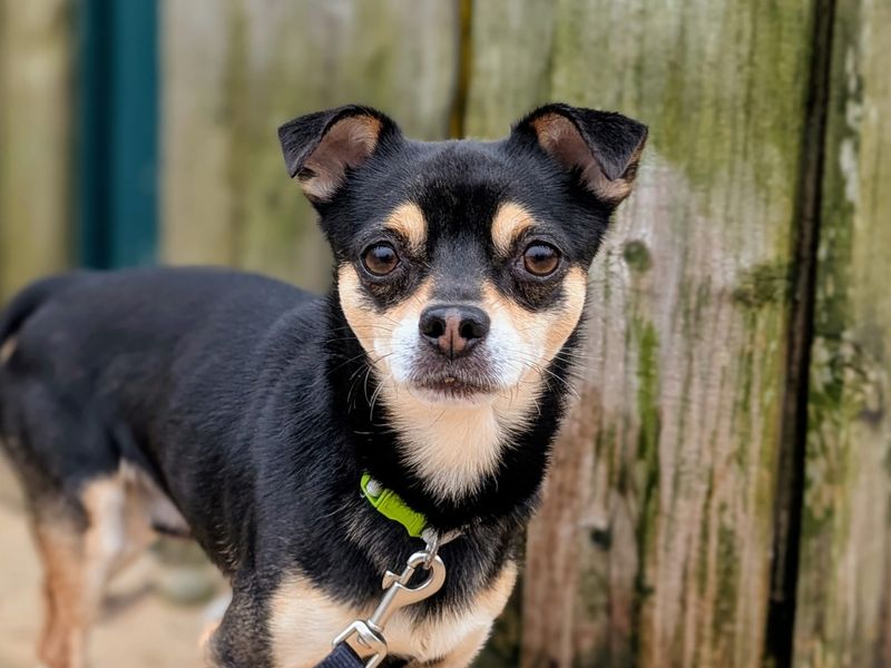 Bertie & Paolo - Image 3 of 10