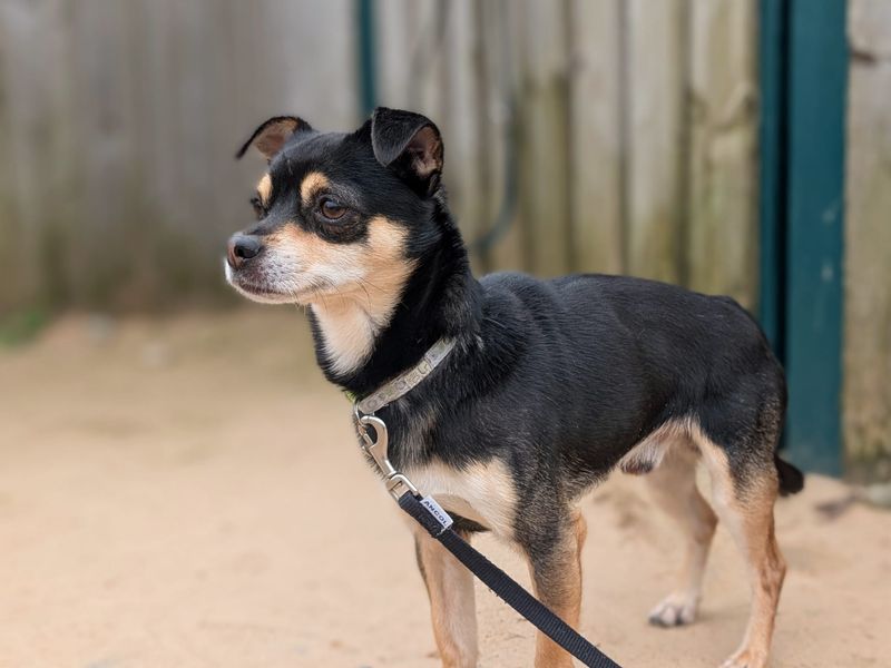 Bertie & Paolo - Image 7 of 10