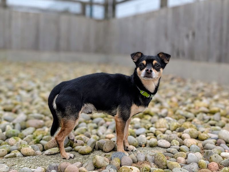 Bertie & Paolo - Image 8 of 10