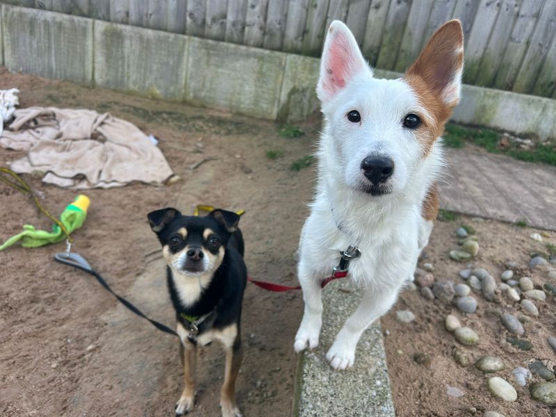 Bertie & Paolo - Image 10 of 10