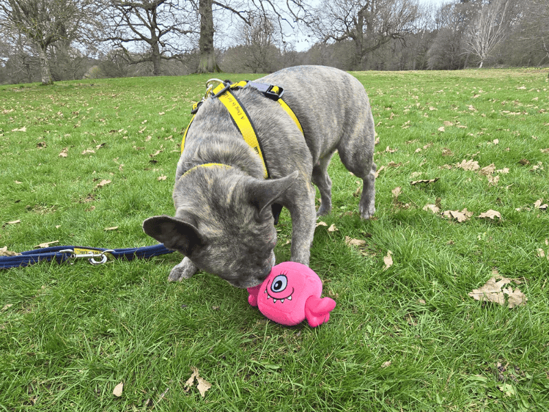 Storm - Image 3 of 7