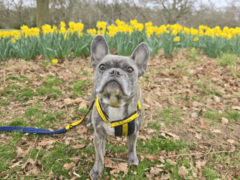 Storm - Image 7 of 7