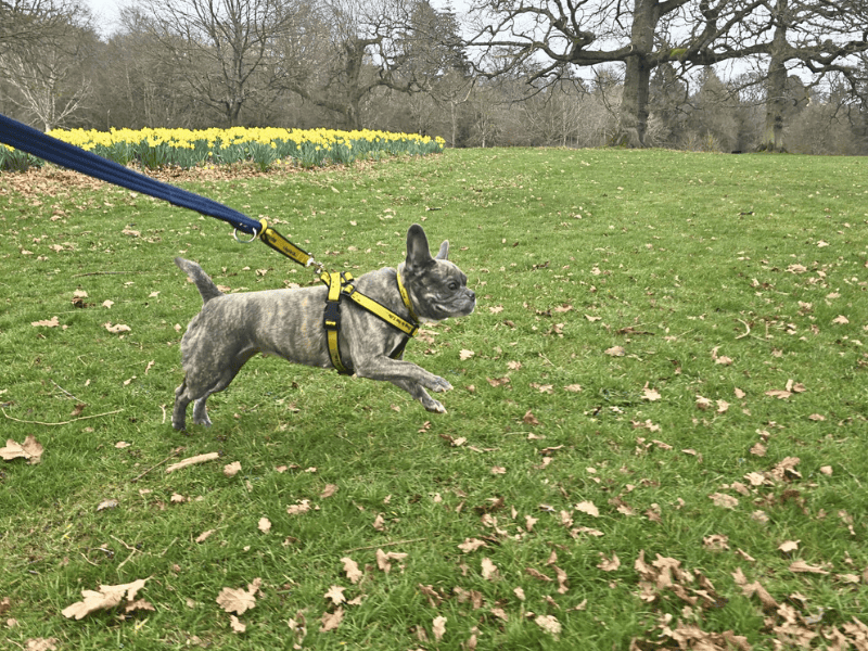 Storm - Image 5 of 7