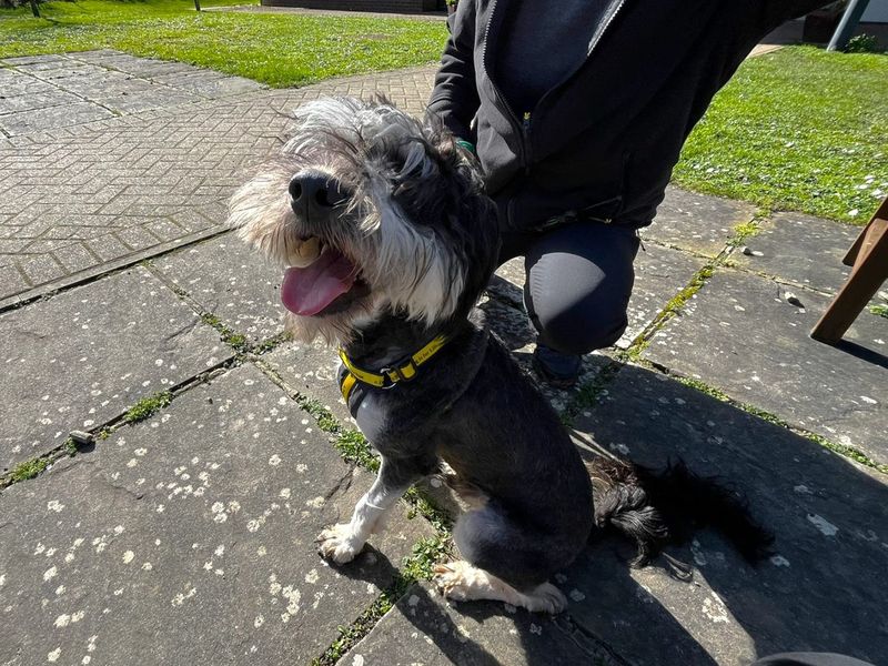 Florian - Image 2 of 2