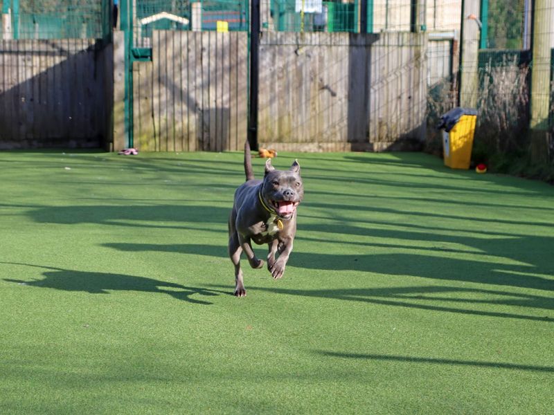 Disco - Image 2 of 4