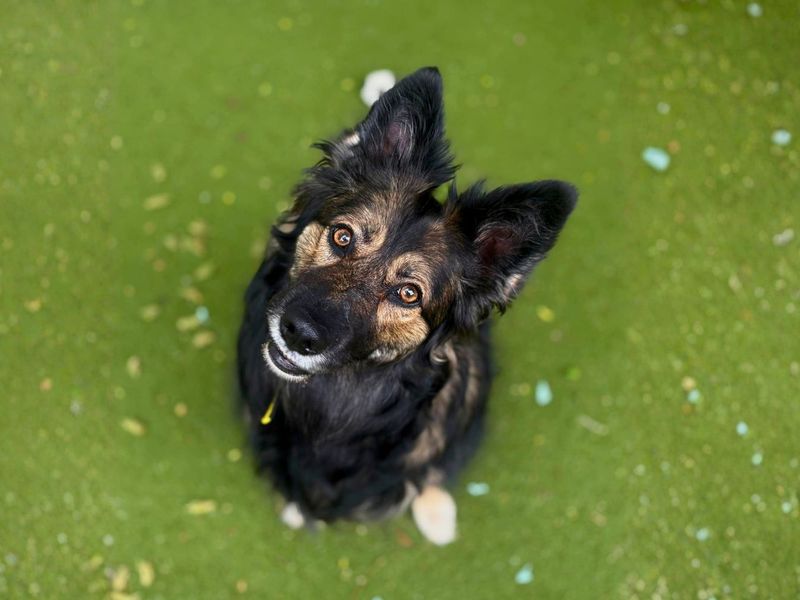 Lexi - Image 3 of 5