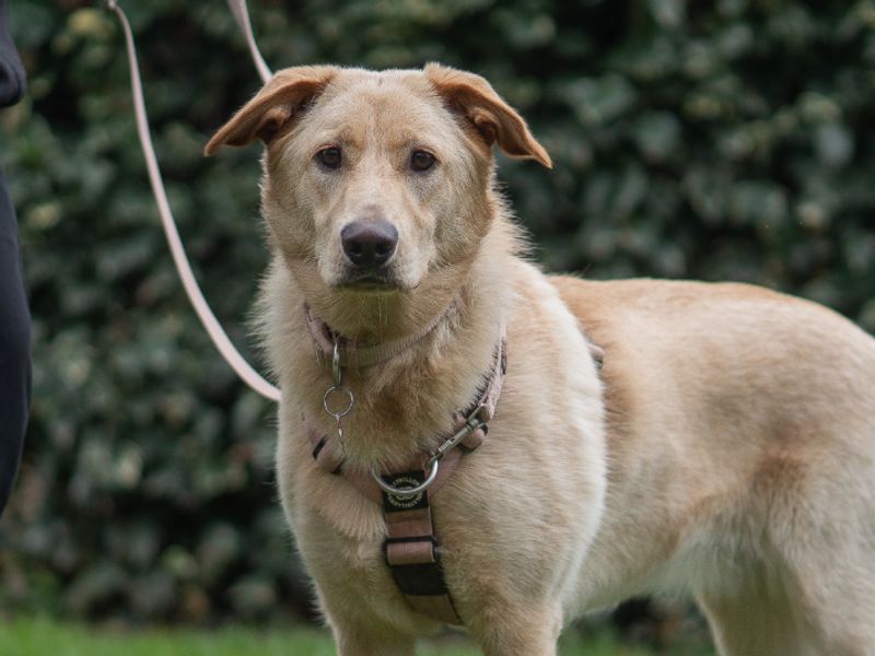 Narla - Image 3 of 3