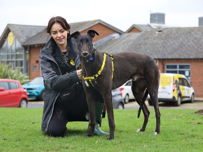 Trout - Image 3 of 4