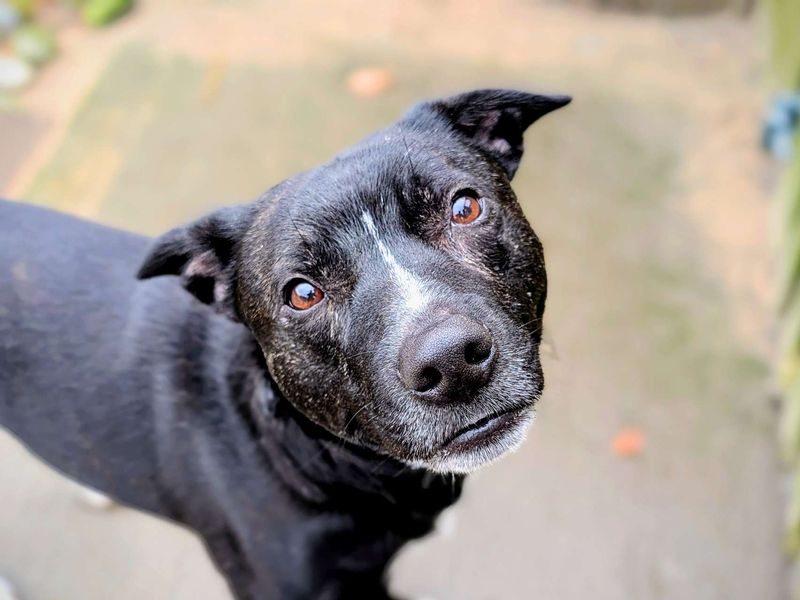 Tipsy - Image 6 of 6