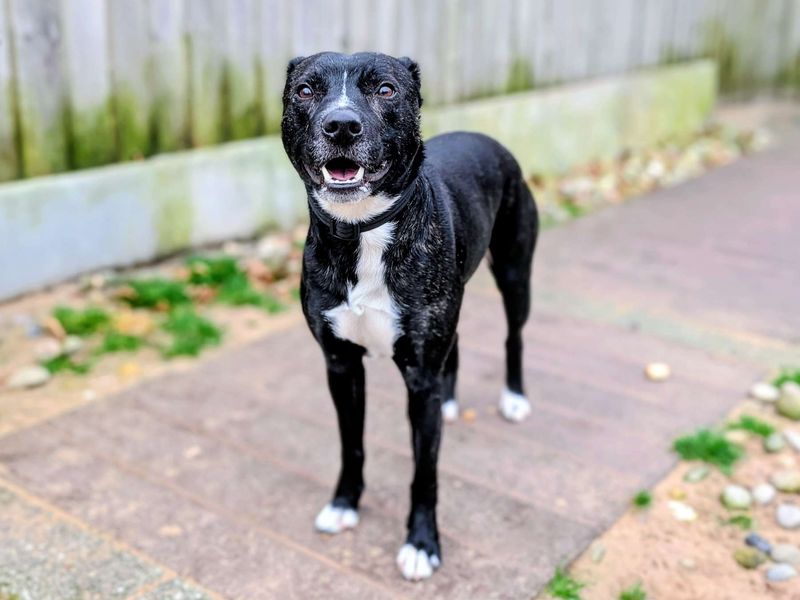 Tipsy - Image 4 of 6