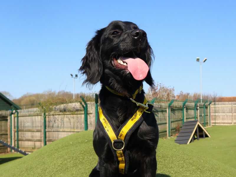 Karma - Image 3 of 3