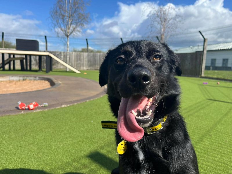 Kylie - Image 2 of 2