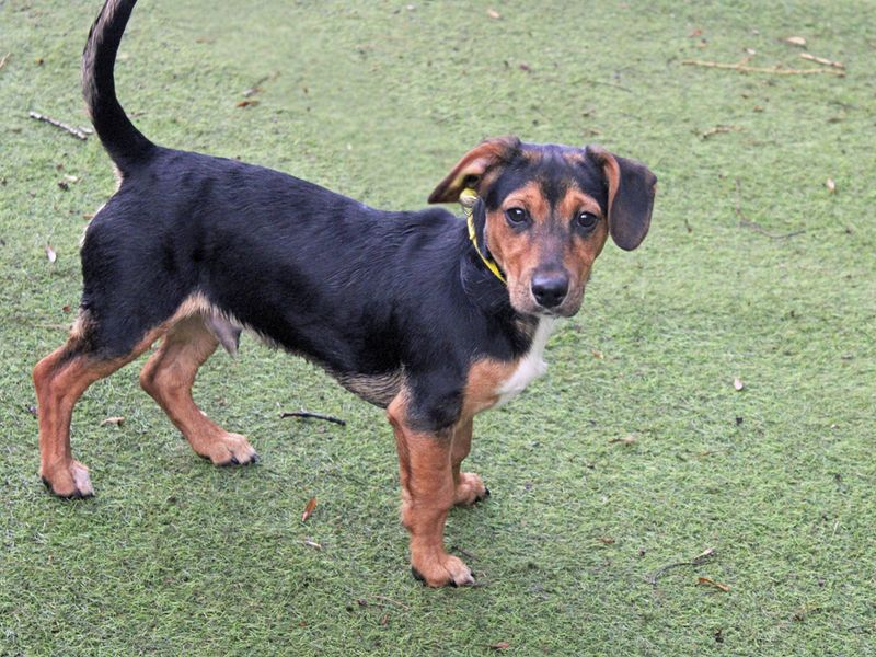 Sydney - Image 2 of 2