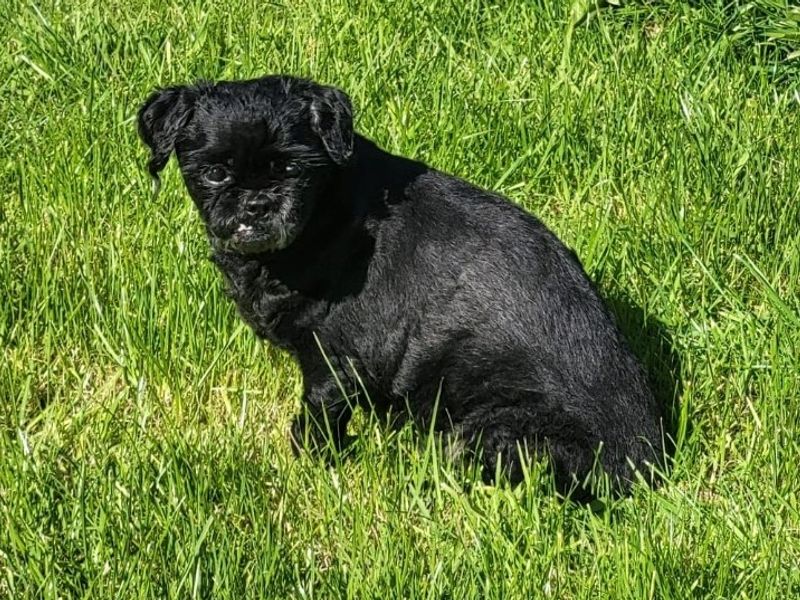 Charlie