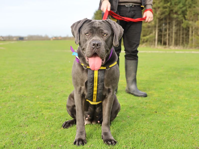 Misky - Image 3 of 3