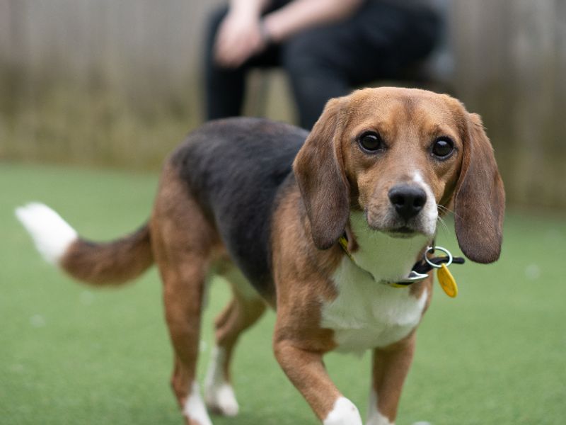 Flint - Image 2 of 3