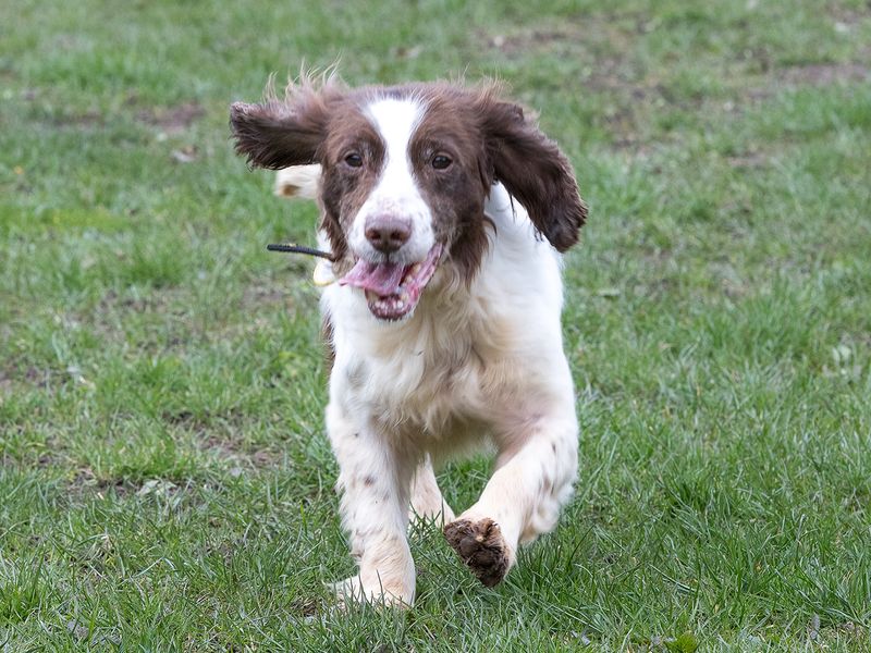 Kevin - Image 3 of 7