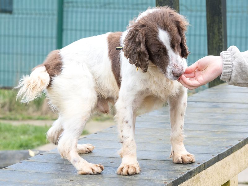 Kevin - Image 4 of 7