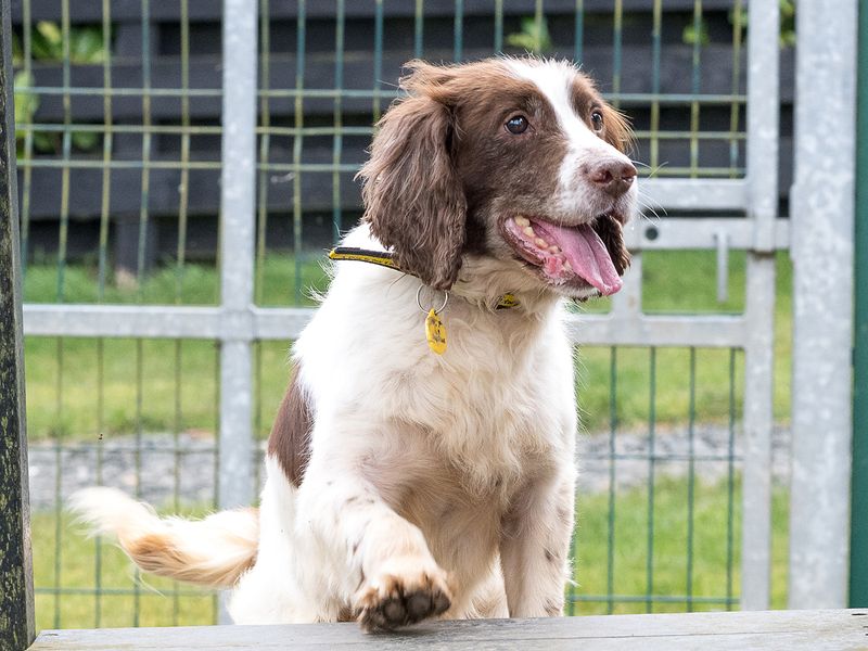 Kevin - Image 5 of 7