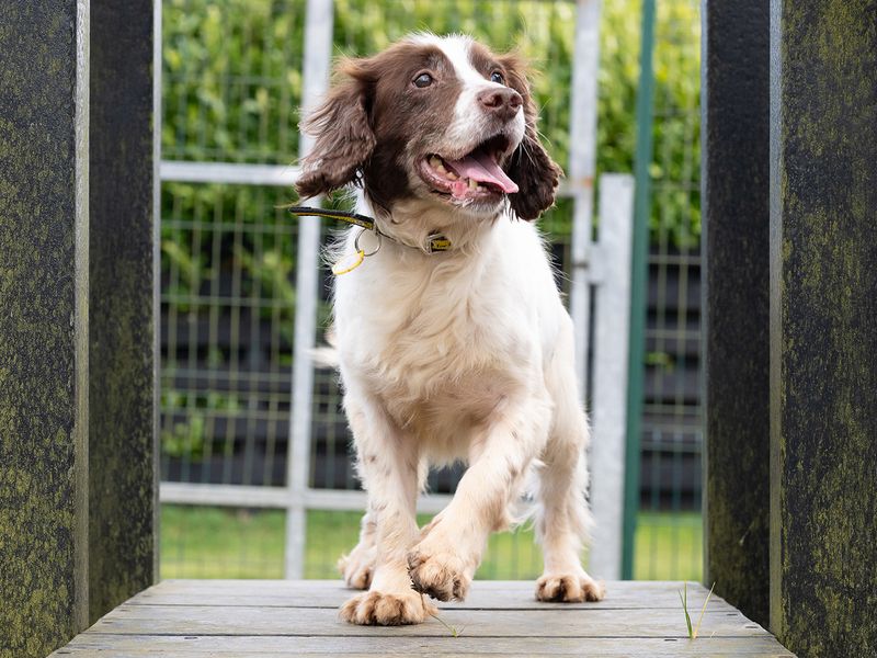 Kevin - Image 6 of 7