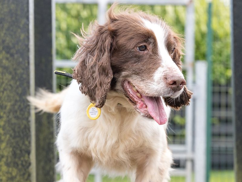 Kevin - Image 2 of 7