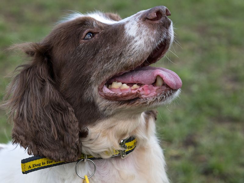 Kevin - Image 7 of 7