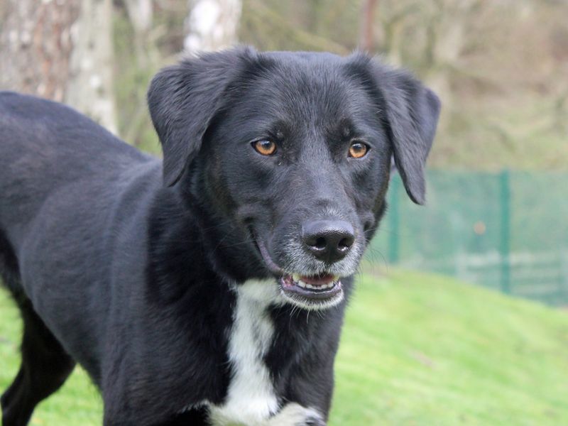 Paige - Image 3 of 4