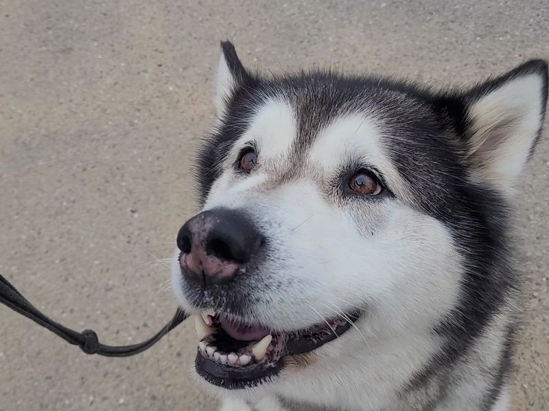 Keira - Image 2 of 5