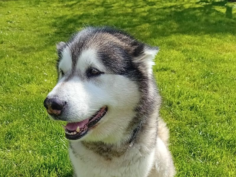 Keira - Image 4 of 5