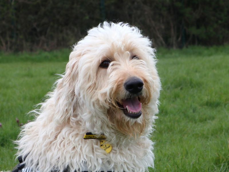 Myrtle - Image 4 of 4