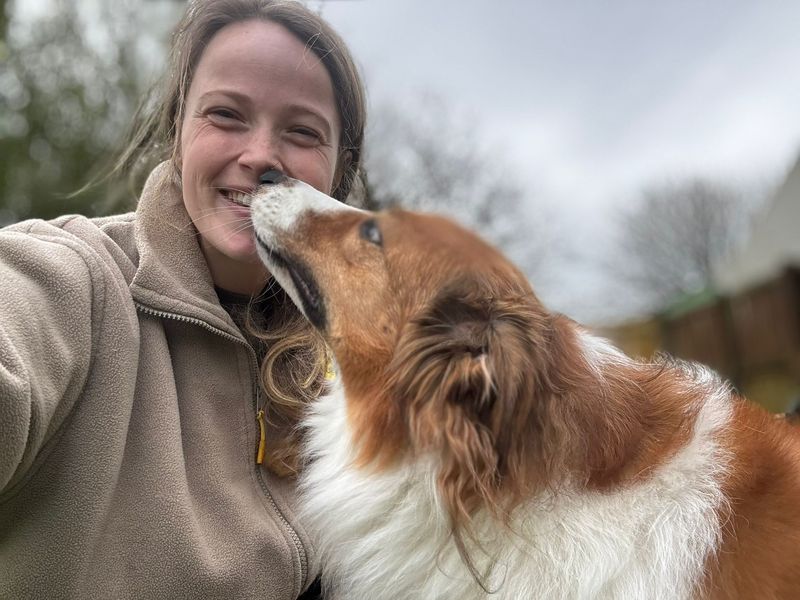 Mivie - Image 2 of 3