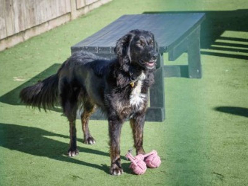 Georgia - Image 2 of 3