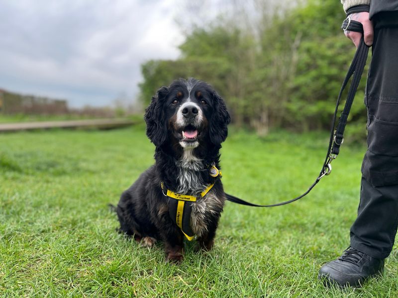 Fredrick - Image 2 of 2