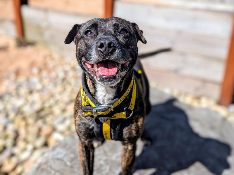 Cassie & Fluke - Image 8 of 8