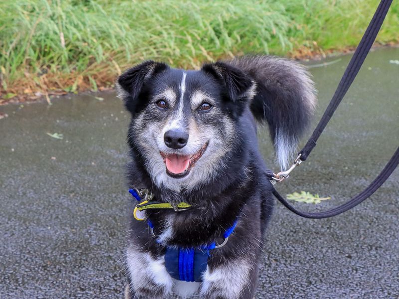 Lottie - Image 3 of 6