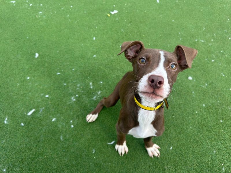 Beanie - Image 3 of 3