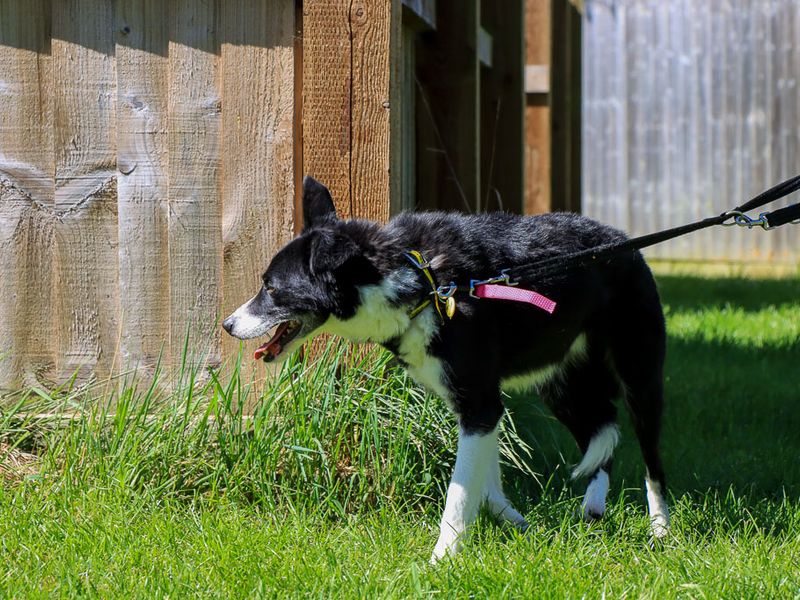 Porter - Image 4 of 7