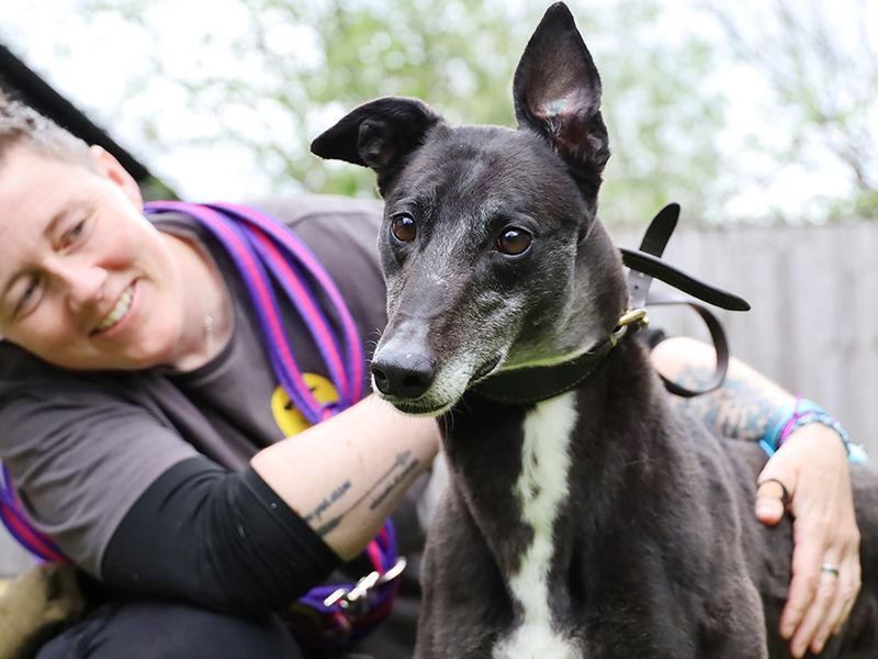 Alexa - Image 4 of 4